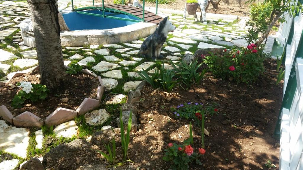 Apartments Matko Makarska Luaran gambar